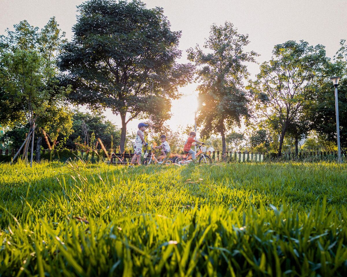 114 | 臺中美樂地公園競圖雙首獎，朝陽科技大學景都系永續設計受肯定圖片